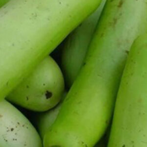 Bottle Gourd ( Lauki)