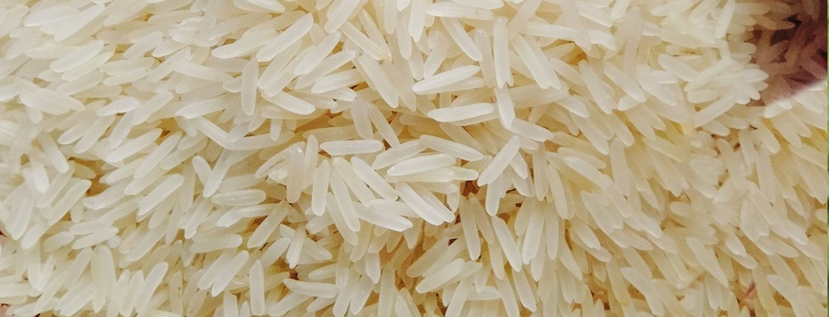 BASMATI-RICE-Main