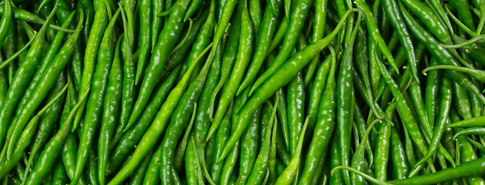 Green-Chillies-Main