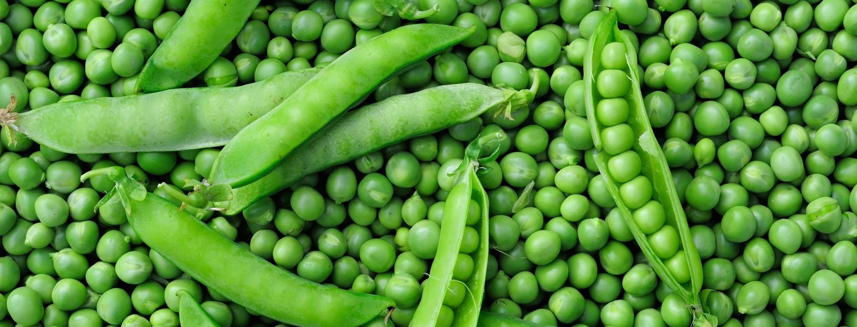 Green-Peas-Main