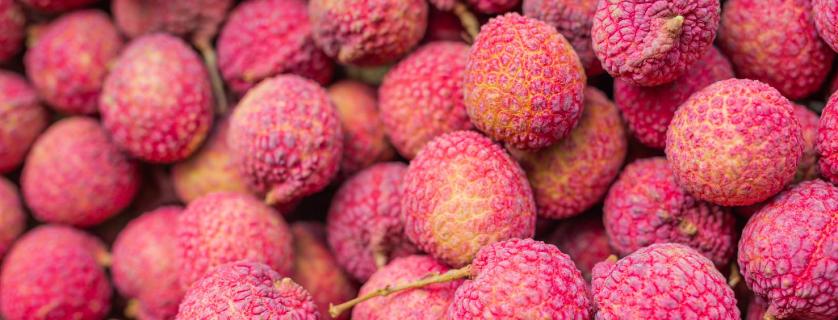 Lychee