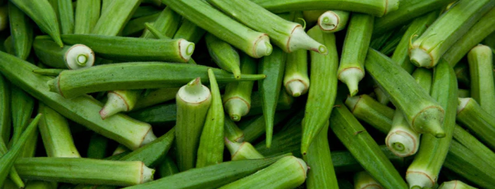 Okra-Lady-Finger-Main