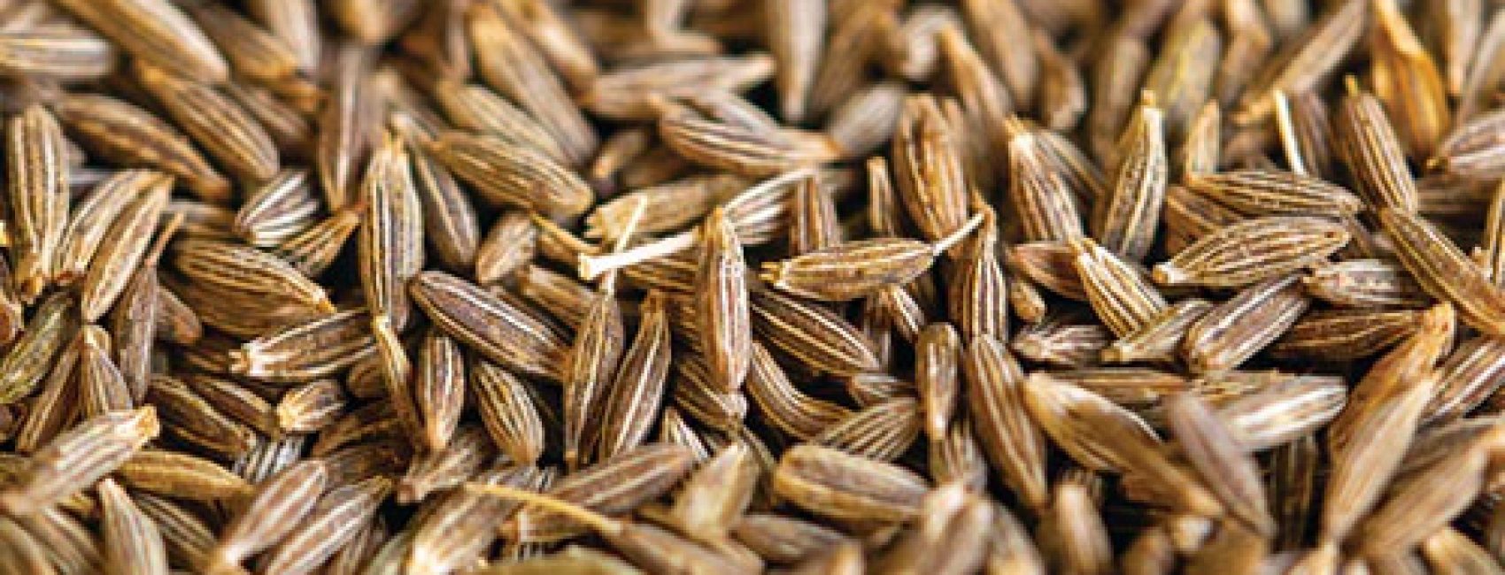 cumin-3