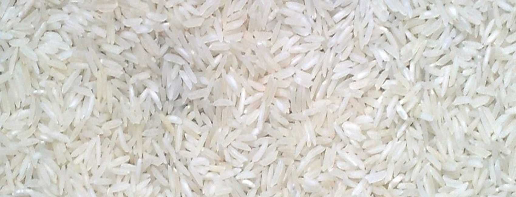 sona-masoori-rice-Main